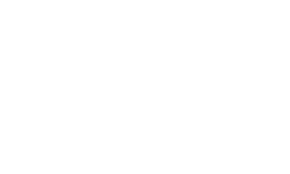 White Salesforce logo